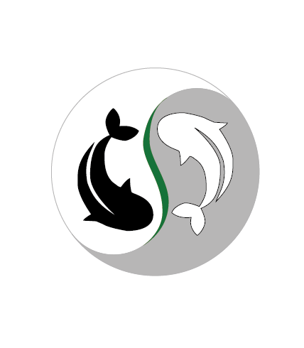 Balance Art koi logo